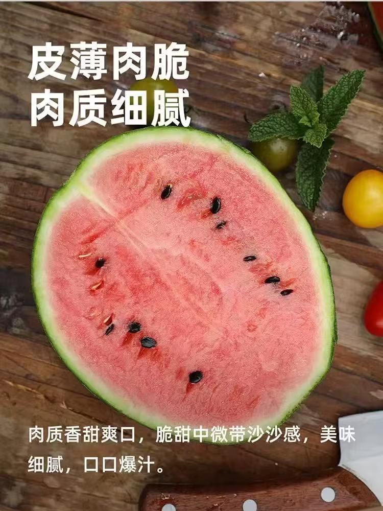 早春红玉小西瓜5-6斤（2-3个）