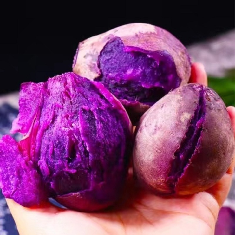 农家自摘鲜紫薯9斤装大果（约单果400g以上）