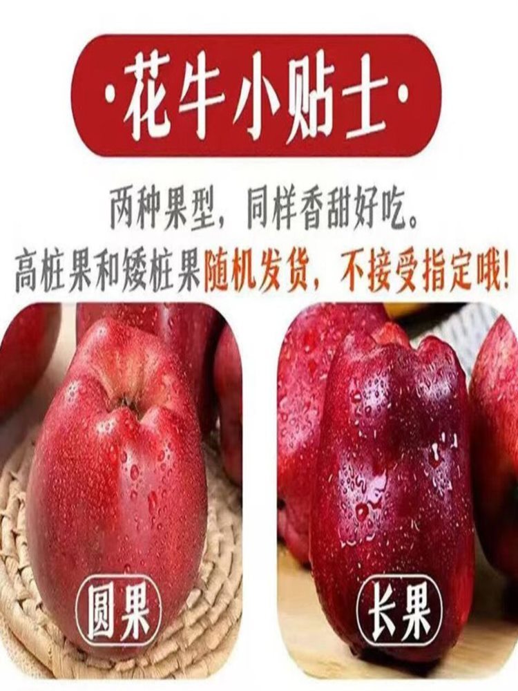 【果园精选】花牛苹果 净重8.5斤装 果径70-80mm  优选甘肃核心产区