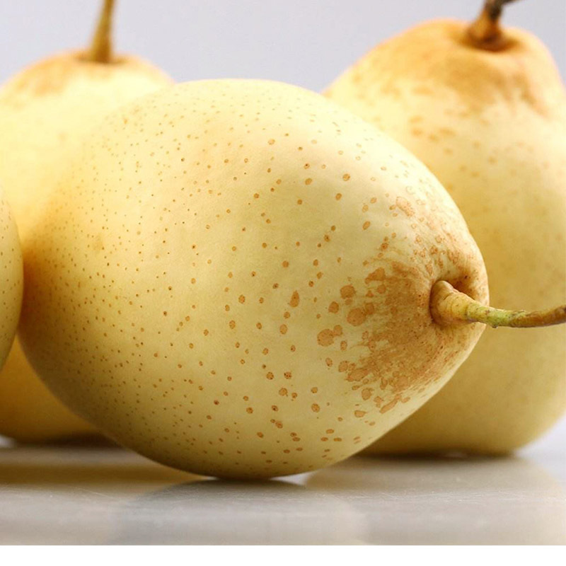 河北大鸭梨新鲜10斤装(含箱)