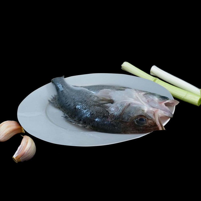 【顺丰包邮】三去开背深海鲈鱼500g*3条（去鳞去鳃去内脏）共3斤 冷冻鱼类