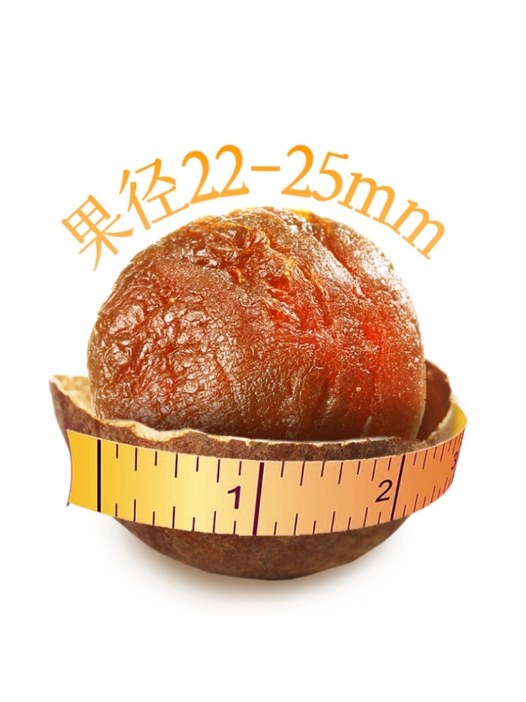 燕之坊泰国清迈桂圆干500g*2袋