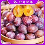 共同