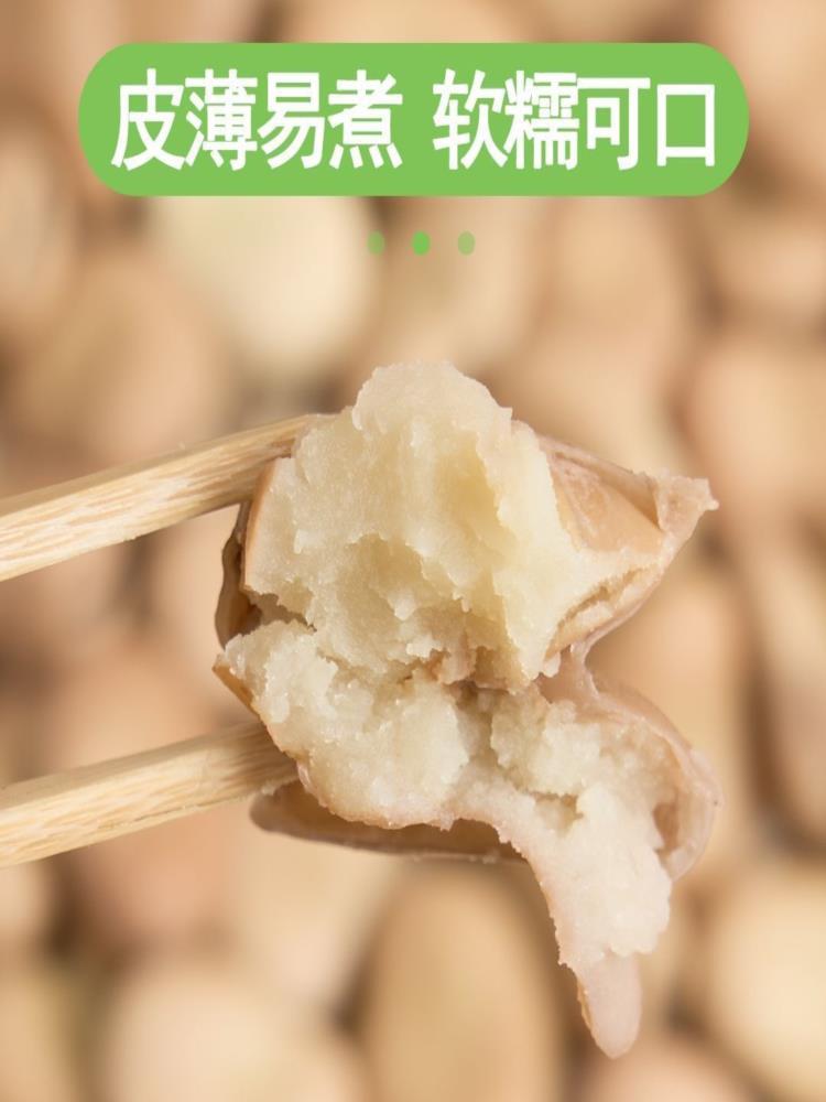 新货云南生白蚕豆 3斤 青皮生蚕豆干货杂粮 罗汉豆胡豆