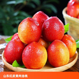 共同
