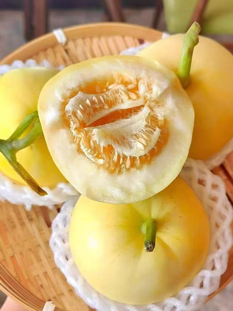 星甜小蜜罐甜瓜【单果150-200g】·4.5斤