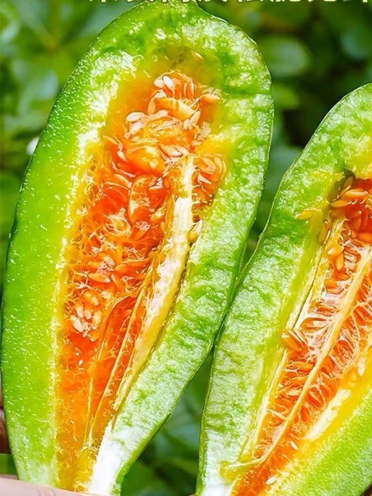 山东 羊角蜜·净重3斤装