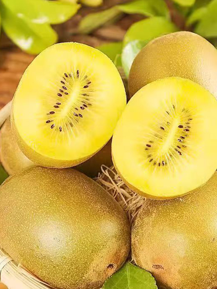 黄心猕猴桃【70-90g】·中果24粒