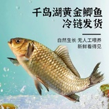 共同