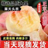 共同