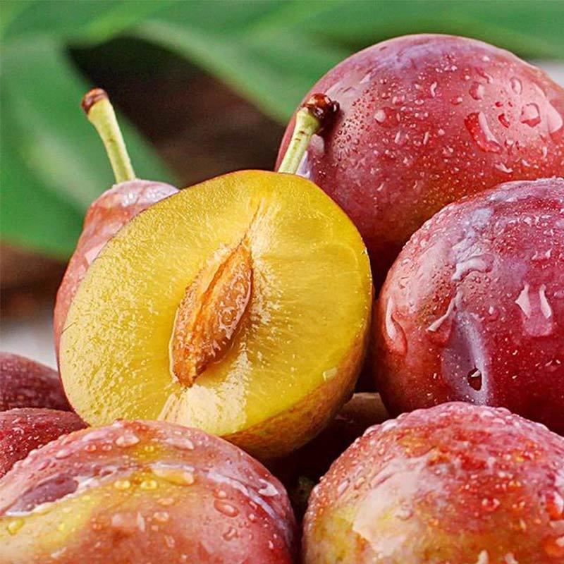 【智利进口西梅2斤 单果10g以上】-惠买-正品拼团上惠买