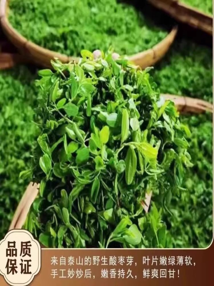 酸枣芽茶 4罐 泰山酸枣叶嫩芽茶 泡水睡眠山枣叶 30g/罐