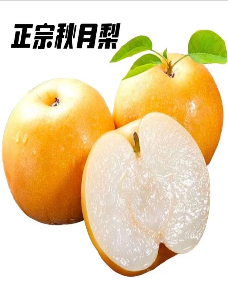 正宗安徽砀山秋月梨5斤（250g/单果）带箱重5斤（9-10个）·统一
