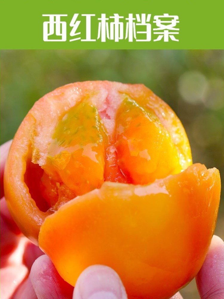 【辽宁产地】顺丰发货5斤装铁皮西红柿
