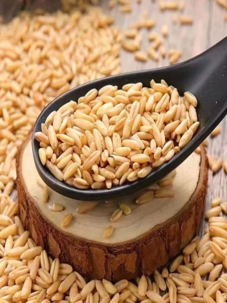 燕麦米 5斤 自产燕麦仁麦香味浓燕麦粒燕麦米