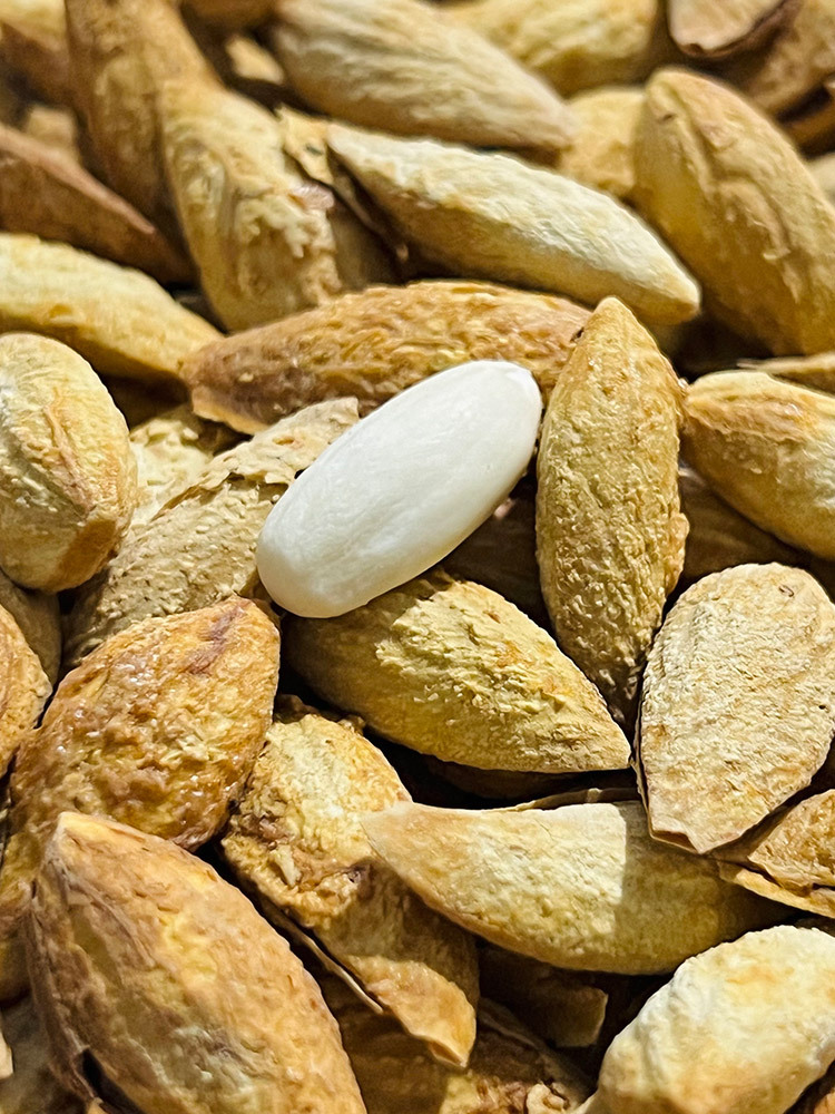 【拍一发二】2025新疆莎车老品种巴旦木500g/袋