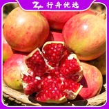 共同