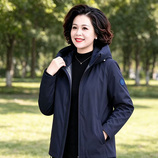 女款