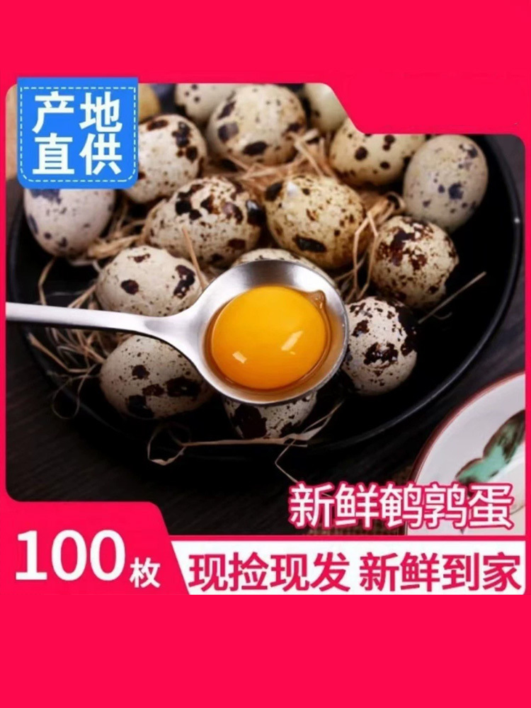 农家散养生鹌鹑蛋新鲜现捡现发农家鹌鹑鸟蛋·100枚