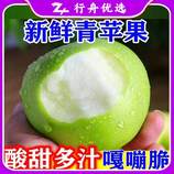 共同