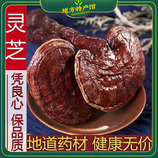 共同