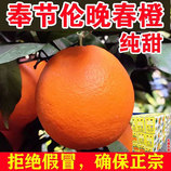 共同