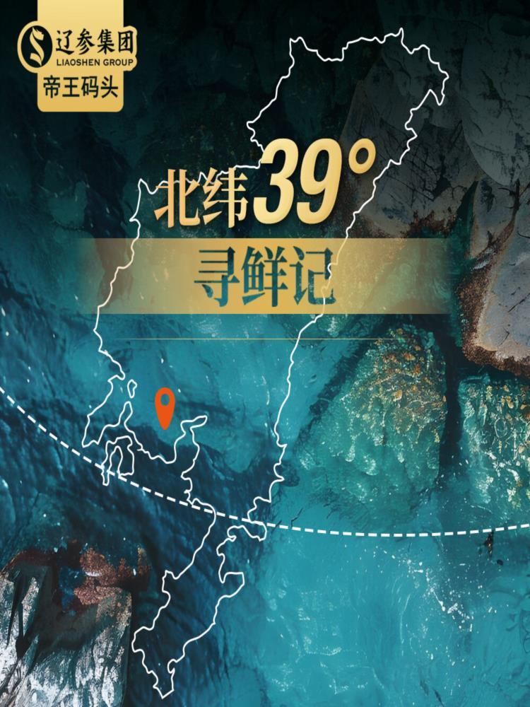 海胆饺子 240g*2袋 共24个 皮薄馅大海胆饺子口感鲜甜海鲜饺子