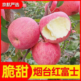 净重5斤