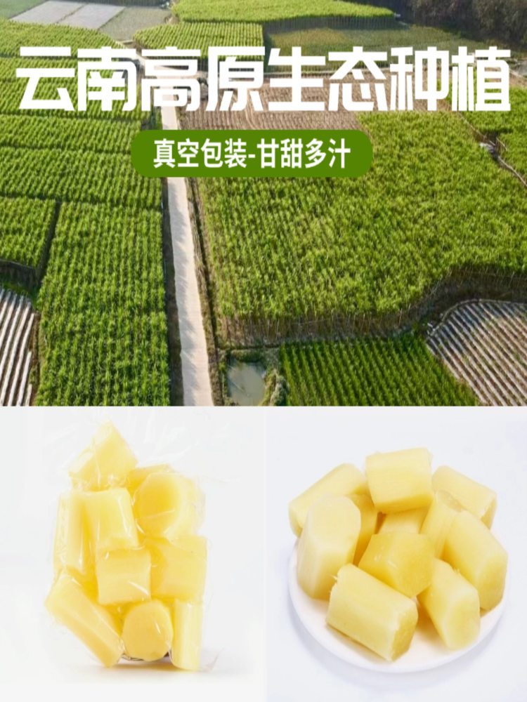云南水果甘蔗 1500g（约8-12袋）真空包装甜脆多汁去皮甘蔗