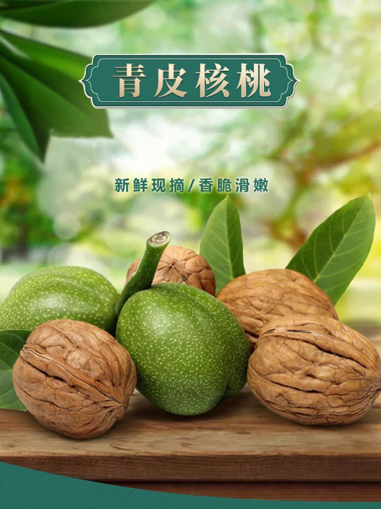 【送开果器】新鲜青皮核桃净重9斤 入口脆爽 果仁香甜不油腻